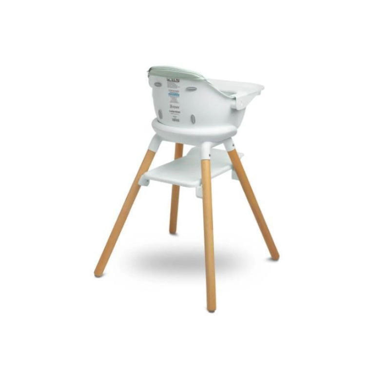 Стільчик для годування Caretero Bravo Mint