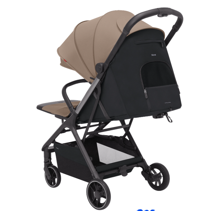 Прогулянкова коляска CARRELLO Nova CRL-5521 Rainforest Green /1/
