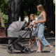 Коляска універсальна CARRELLO Alfa CRL-6507 (2in1) Midnight Black /1/
