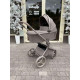 Дитяча коляска Anex Flo 2 в 1 Yuki