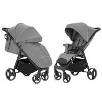 Прогулянкова коляска CARRELLO Bravo CRL-8512 Forest Grey /1/
