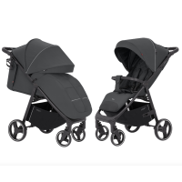 Прогулянкова коляска CARRELLO Bravo CRL-8512 Lunar Grey /1/
