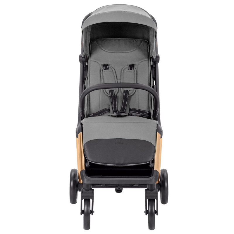 Прогулянкова коляска CARRELLO Cross CRL-5523 Owl Grey /1/