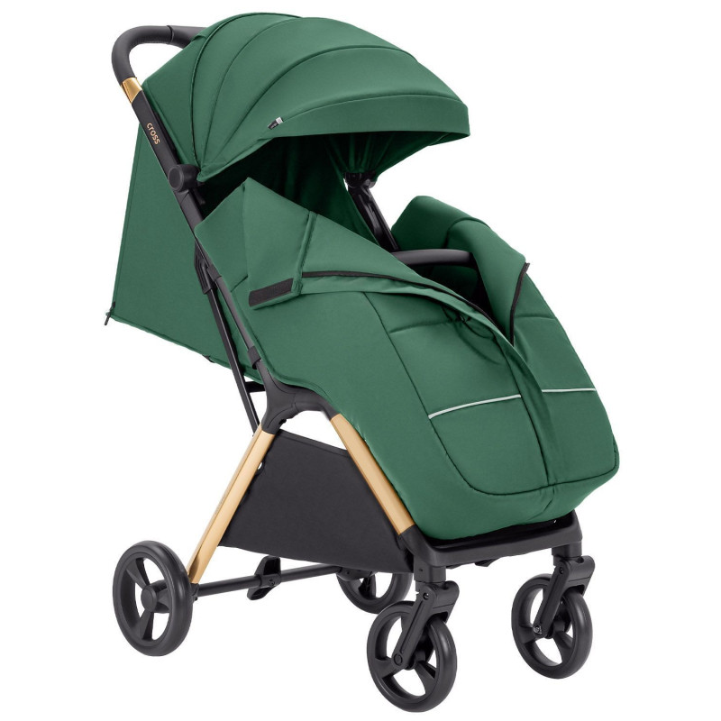 Прогулянкова коляска CARRELLO Cross CRL-5523 Parrot Green /1/