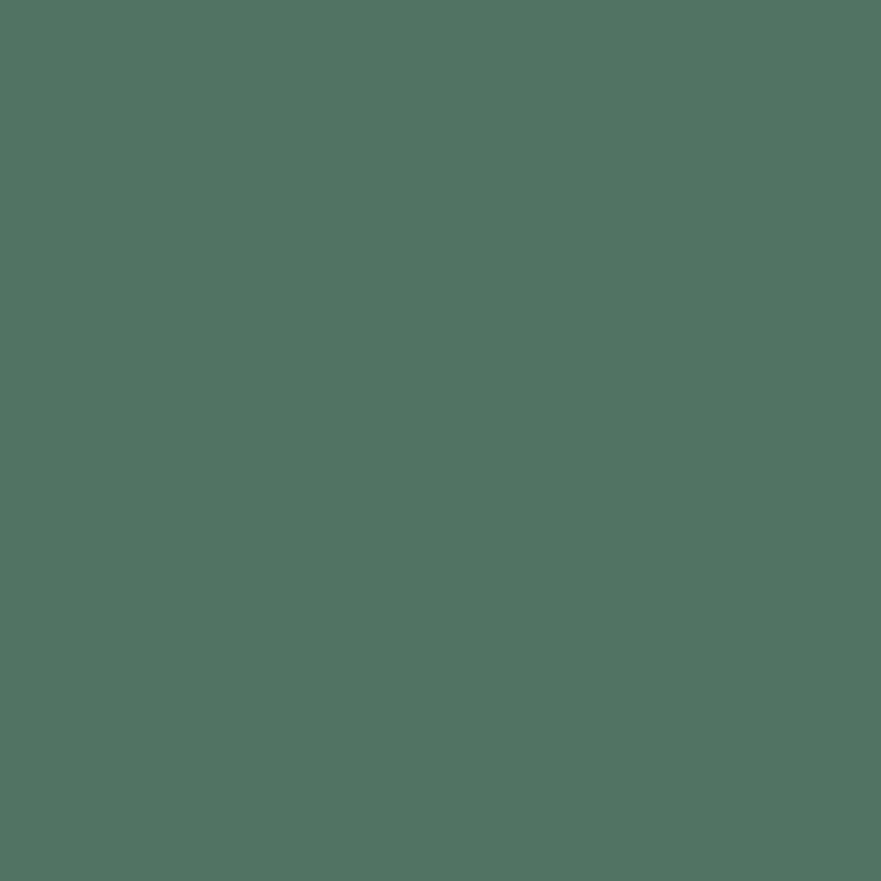 Прогулянкова коляска CARRELLO Cross CRL-5523 Parrot Green /1/