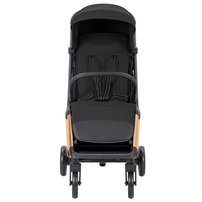 Прогулянкова коляска CARRELLO Cross CRL-5523 Raven Black /1/
