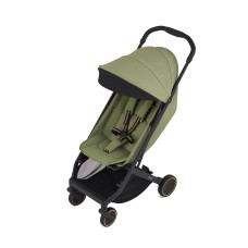 Коляска Anex Air-X2 Vert