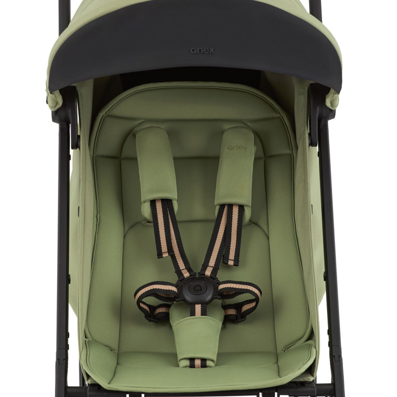 Коляска Anex Air-X2 Vert