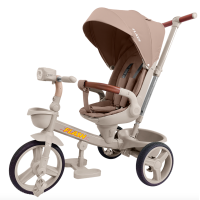 Велосипед триколісний TILLY FLASH T-3812 DARK BEIGE /1/