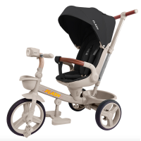 Велосипед триколісний TILLY FLASH T-3812 DARK GREY /1/