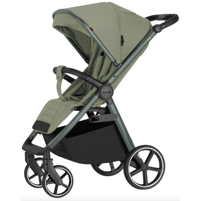 Прогулянкова коляска CARRELLO Bravo SL Deluxe CRL-5520 Mosaic Green /1/