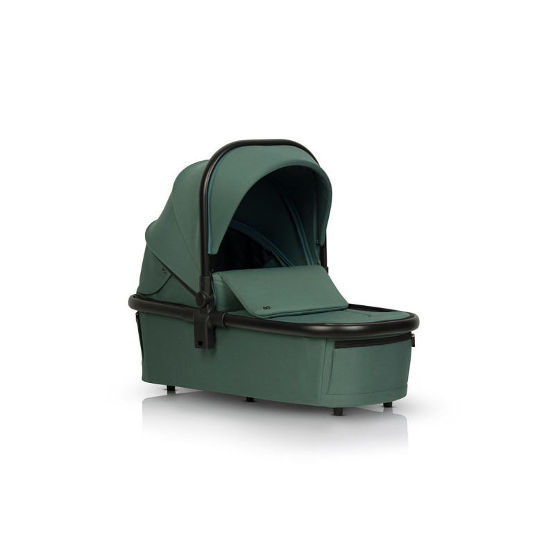Коляска 2 в 1 EasyGo Giro Green