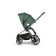 Коляска 2 в 1 EasyGo Giro Green