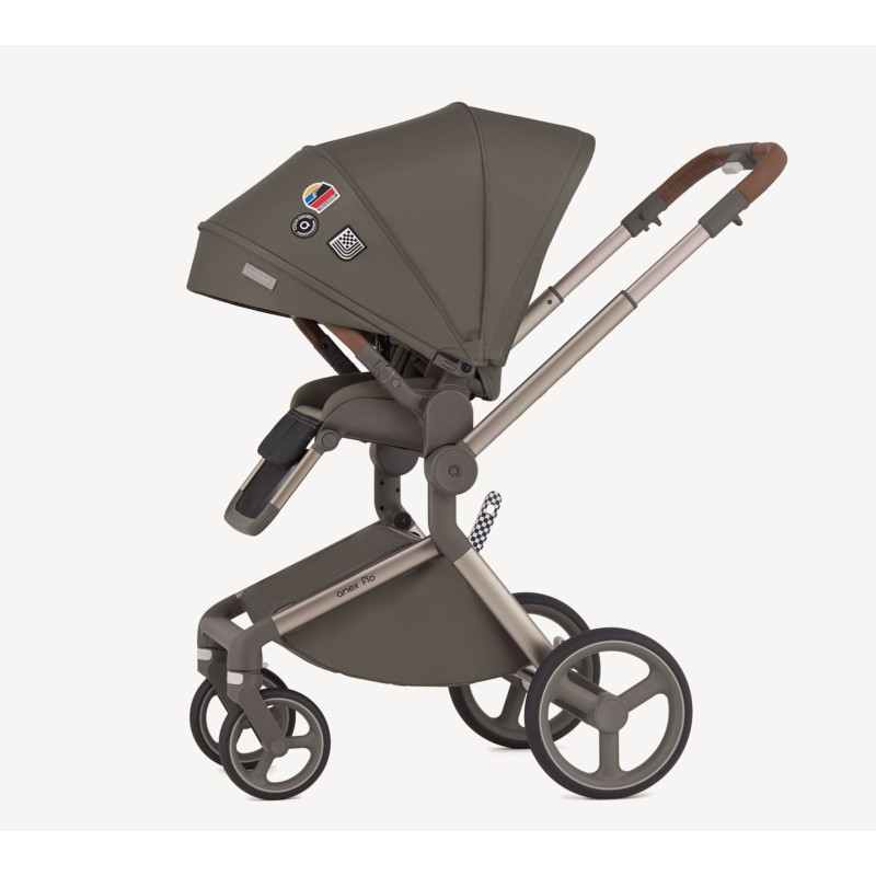 Дитяча коляска Anex Flo 2 в 1 Cesar