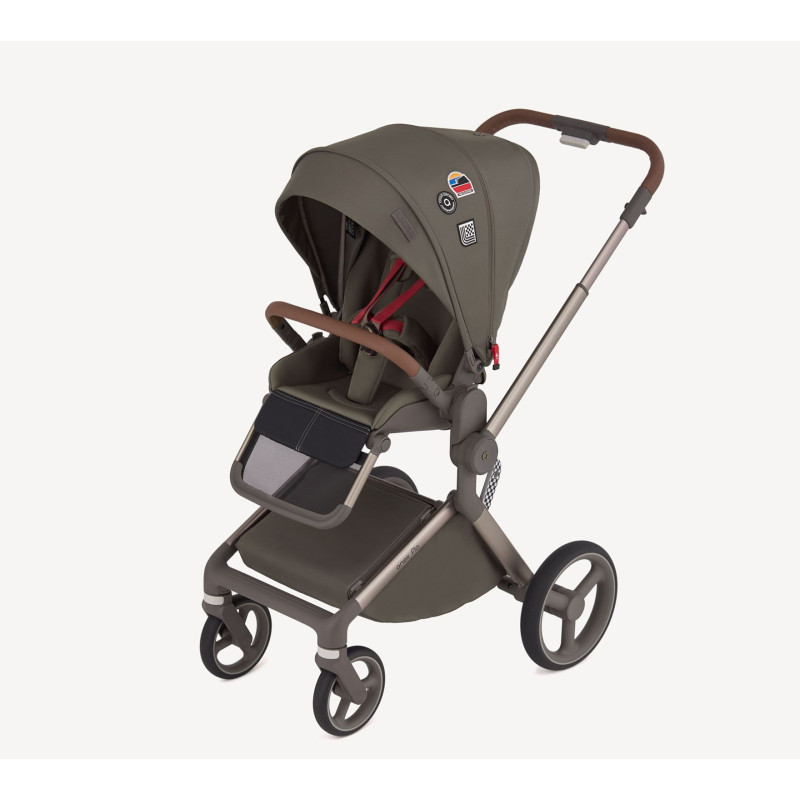 Дитяча коляска Anex Flo 2 в 1 Cesar
