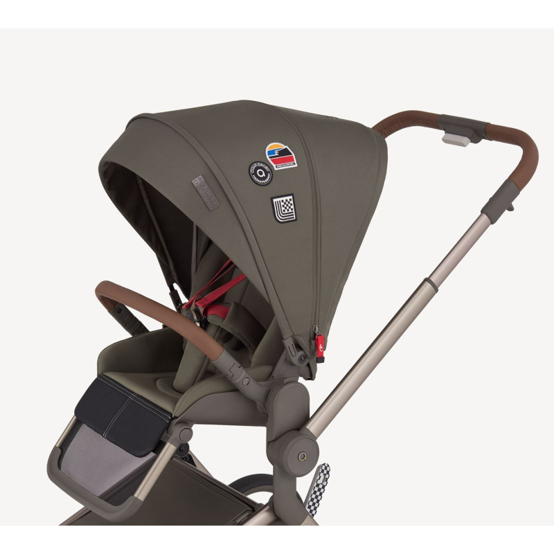 Дитяча коляска Anex Flo 2 в 1 Cesar