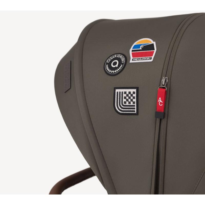 Дитяча коляска Anex Flo 2 в 1 Cesar