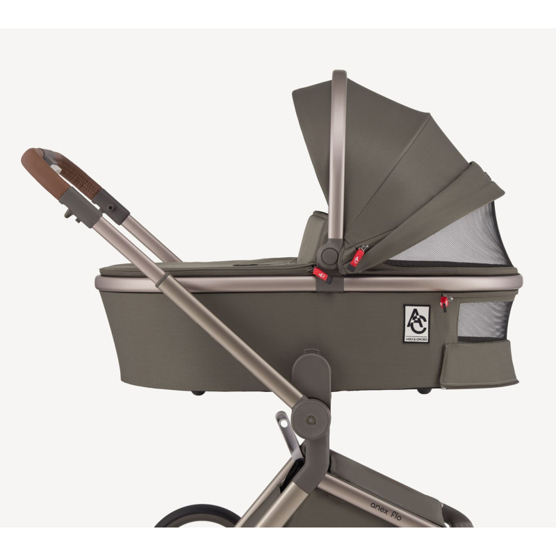 Дитяча коляска Anex Flo 2 в 1 Cesar