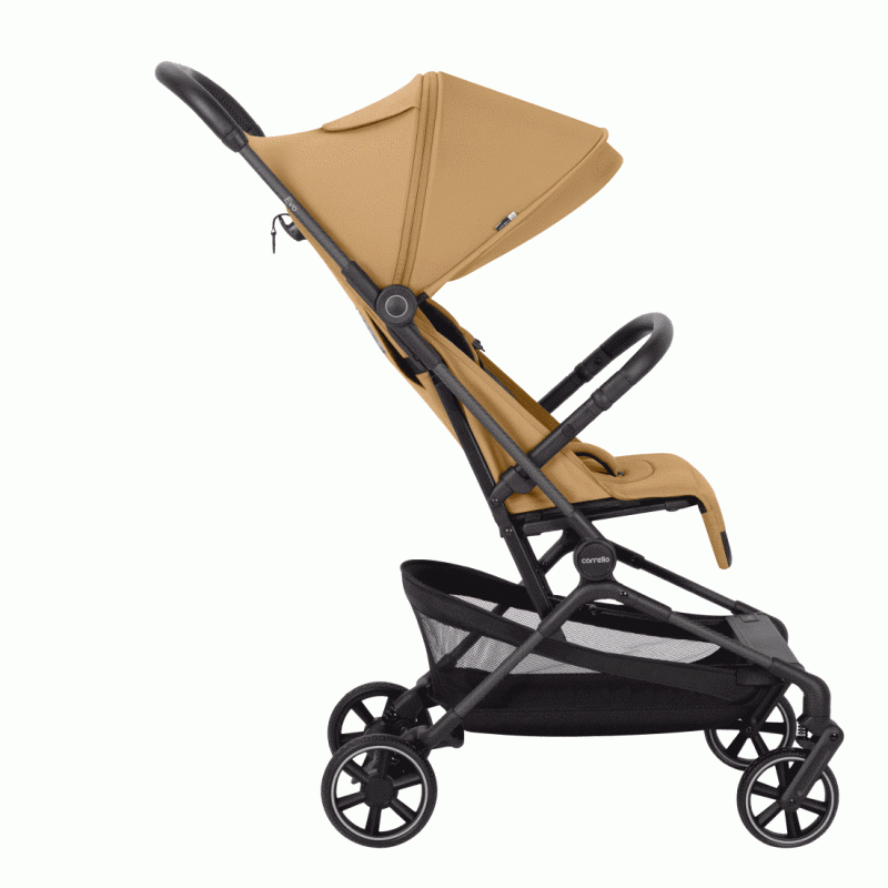 Прогулянкова коляска CARRELLO Evo CRL-5533 Inkstone Black /1/