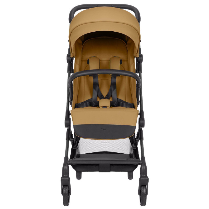 Прогулянкова коляска CARRELLO Evo CRL-5533 Medallion Beige /1/