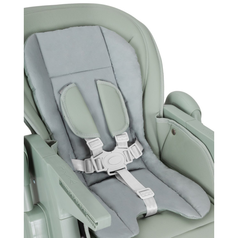 Стілець для годування CARRELLO Lotus CRL-12101 Noa Green