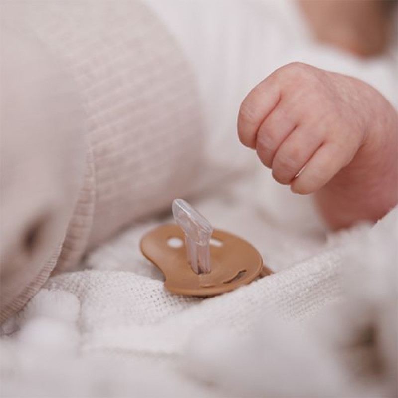 Пустушка анатомічна силіконова 0-6 міс. (беж/коричнева) BabyOno 1670/01
