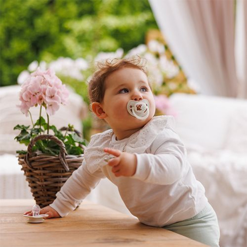Пустушка анатомічна силіконова 6-18 міс. (беж/зелена) BabyOno 1670/02