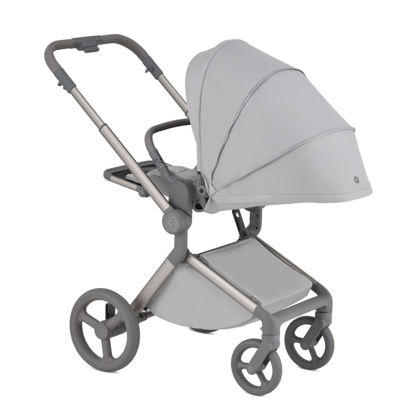 Дитяча коляска Anex Flo 2 в 1 Frossy