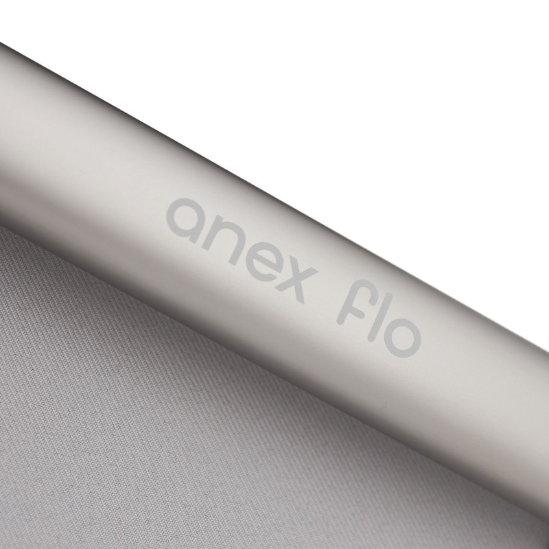 Дитяча коляска Anex Flo 2 в 1 Frossy