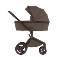 Дитяча коляска Anex Flo 2 в 1 Browny
