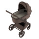 Дитяча коляска Anex Flo 2 в 1 Browny