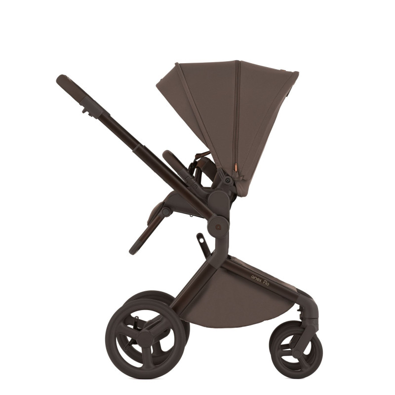 Дитяча коляска Anex Flo 2 в 1 Browny