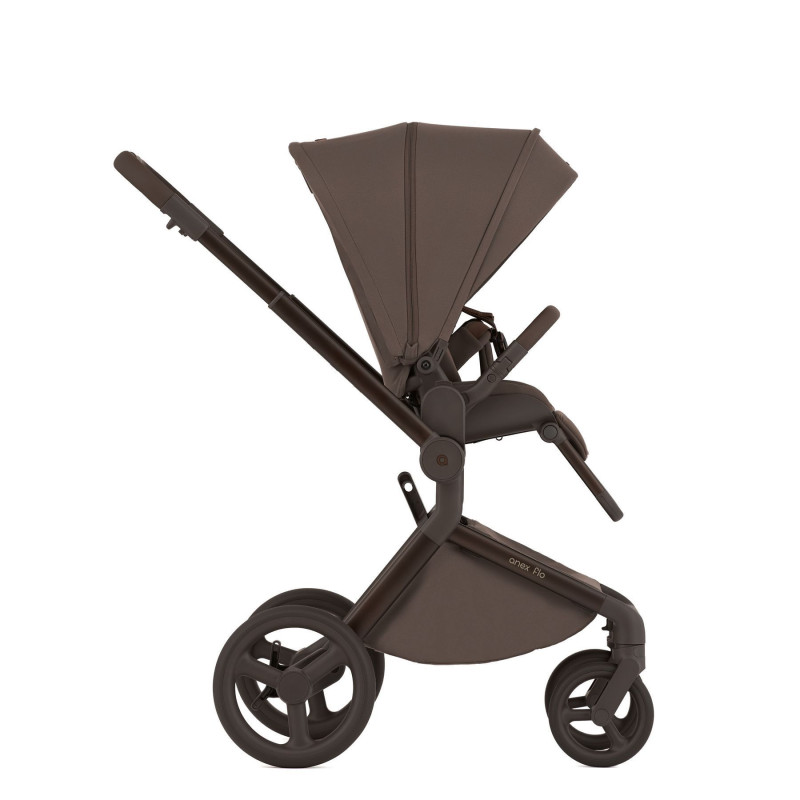 Дитяча коляска Anex Flo 2 в 1 Browny