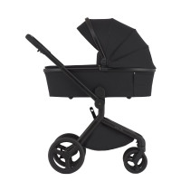 Дитяча коляска Anex Flo 2 в 1 Lungo