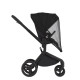 Дитяча коляска Anex Flo 2 в 1 Lungo