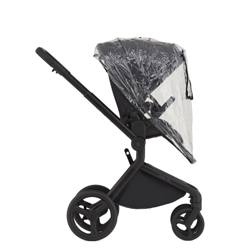 Дитяча коляска Anex Flo 2 в 1 Lungo