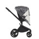 Дитяча коляска Anex Flo 2 в 1 Lungo