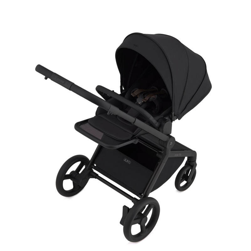 Дитяча коляска Anex Flo 2 в 1 Lungo
