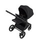 Дитяча коляска Anex Flo 2 в 1 Lungo