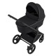 Дитяча коляска Anex Flo 2 в 1 Lungo