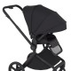 Дитяча коляска Anex Flo 2 в 1 Lungo