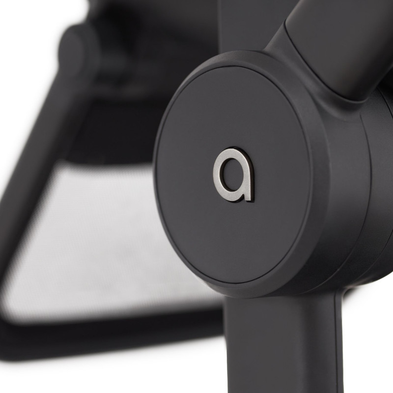 Дитяча коляска Anex Flo 2 в 1 Lungo