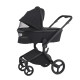 Дитяча коляска Anex Flo 2 в 1 Lungo