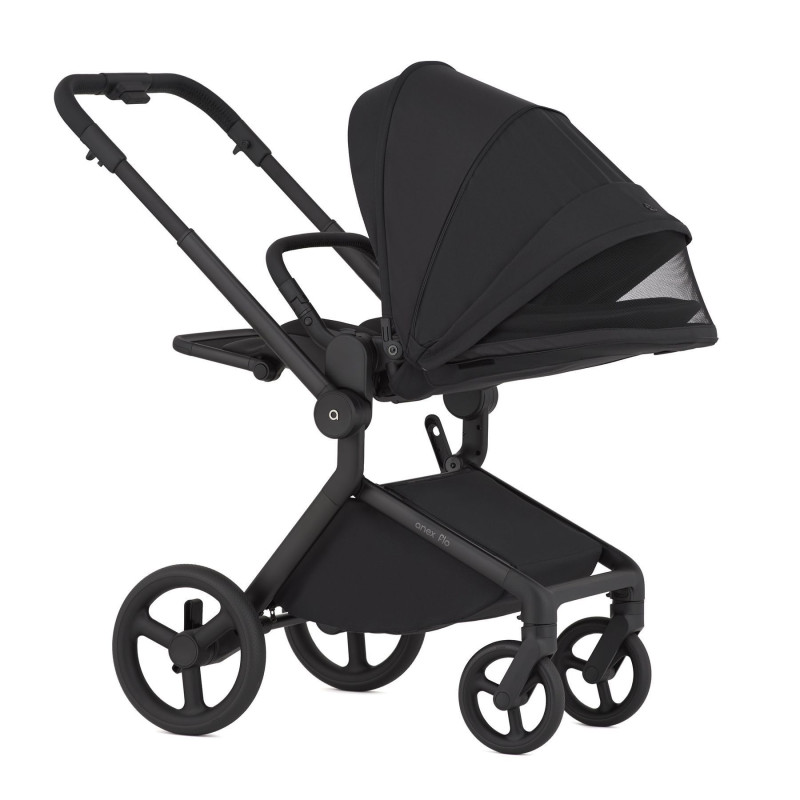 Дитяча коляска Anex Flo 2 в 1 Lungo