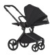 Дитяча коляска Anex Flo 2 в 1 Lungo