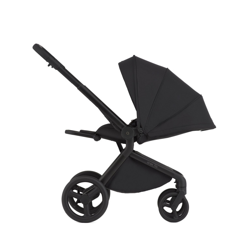 Дитяча коляска Anex Flo 2 в 1 Lungo