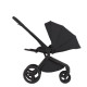 Дитяча коляска Anex Flo 2 в 1 Lungo