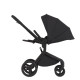 Дитяча коляска Anex Flo 2 в 1 Lungo