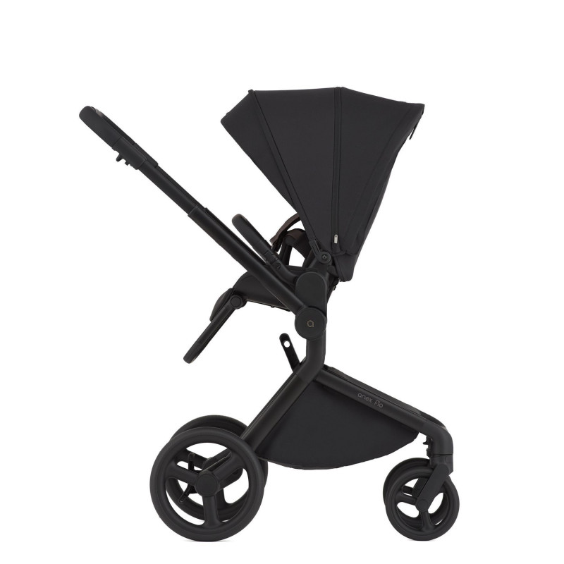 Дитяча коляска Anex Flo 2 в 1 Lungo