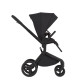 Дитяча коляска Anex Flo 2 в 1 Lungo